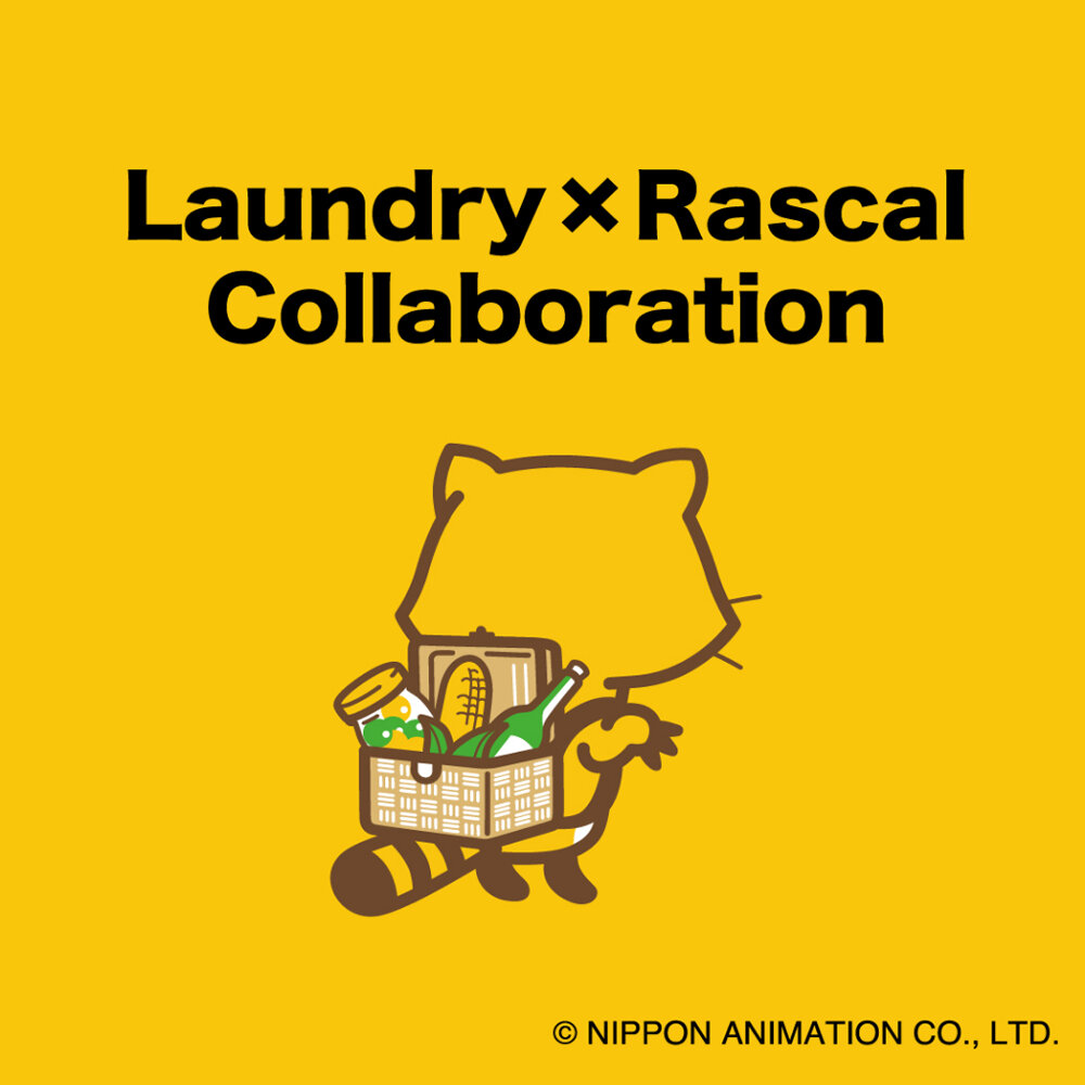 Laundry_ras_th1.jpg